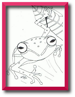 tekening van een kikker