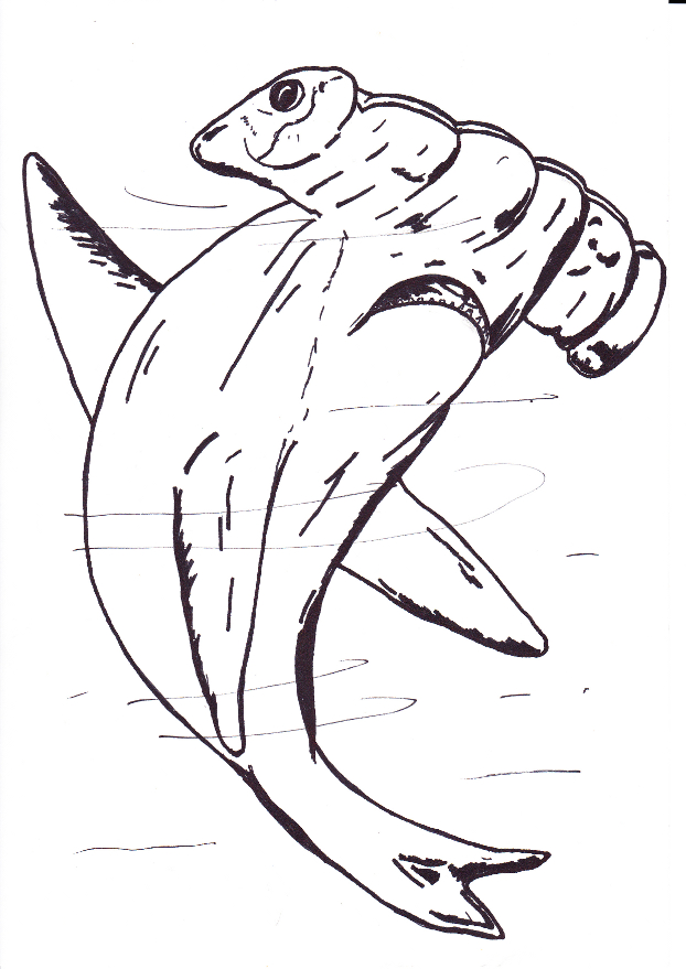 tekening van een hamerhaai