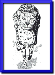 tekening van een cheetah