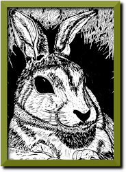 tekening van een konijn in een hol