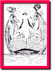 tekening van een nijlpaard