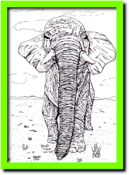 tekening van een olifant