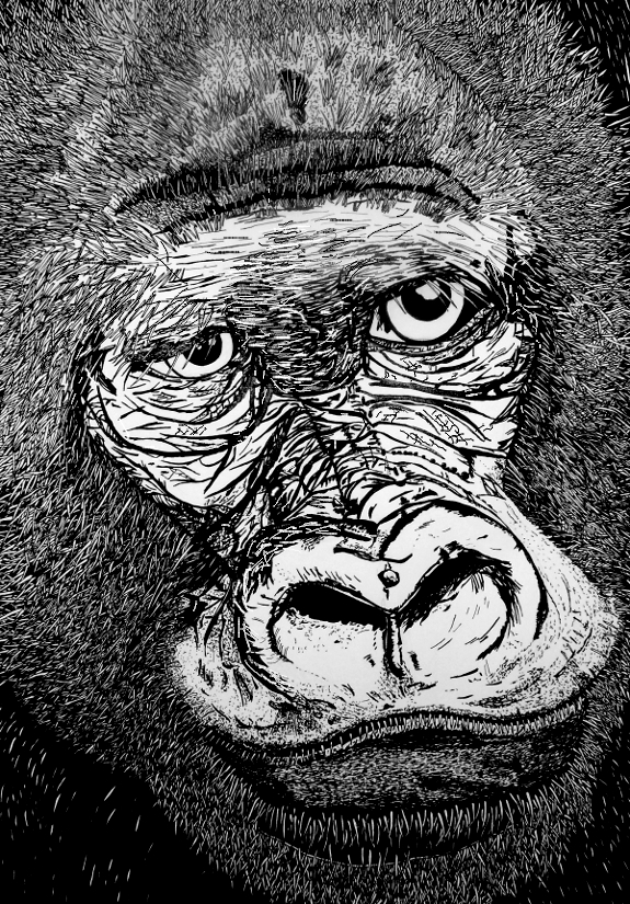 kleurplaat van een gorilla