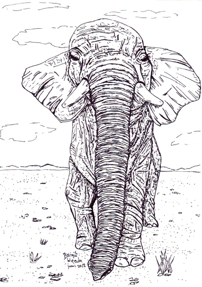 kleurplaat van een olifant