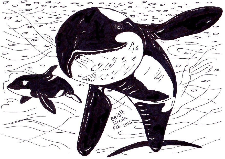 kleurplaat van twee orka's