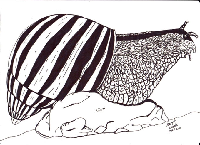 tekening van een slak