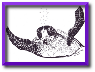 tekening zeeschildpad