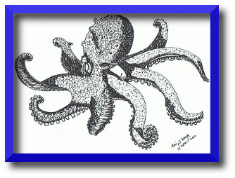 tekening van een octopus