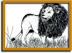 tekening van een mannetjes leeuw