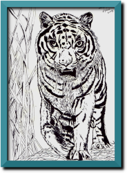 tekening van een tijger